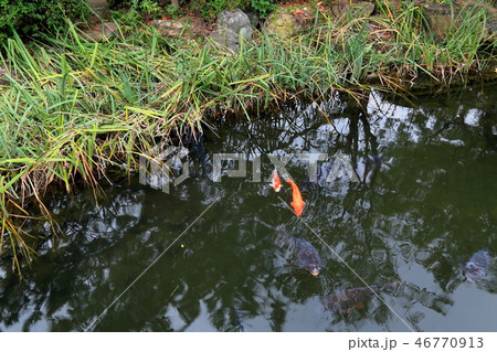 弘法大師建立の寺：円鏡寺・18（岐阜県本巣郡北方町） 46770913