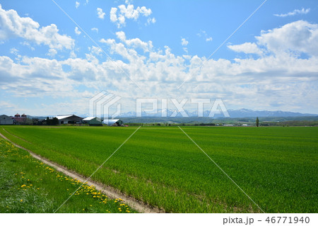 麓郷の風景　北海道・富良野市 46771940