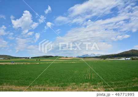 麓郷の風景　北海道・富良野市 46771995