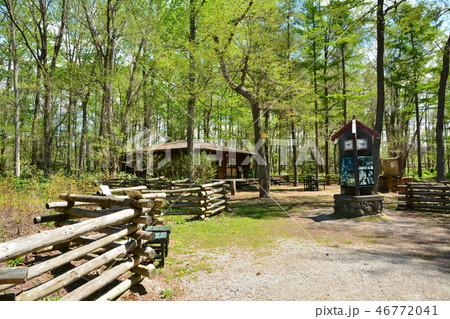 麓郷の森 北海道・富良野市 麓郷の森 北海道・富良野市 46772041