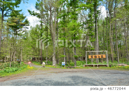 麓郷の森　北海道・富良野市 46772044
