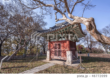 全州市 全北 建築 46772099