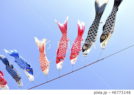 鯉のぼり 46773148
