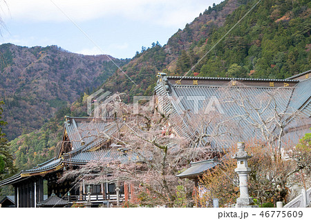 山梨県 身延山久遠寺(みのぶさんくおんじ) 棲神閣祖師堂(せいしんかくそしどう) 山梨県 身延山久遠寺(みのぶさんくおんじ) 棲神閣祖師堂(せいしんかくそしどう) 46775609