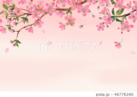 桜 46776260