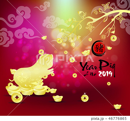 Happy chinese new 2019 year, year of the pig. Pig  46776865