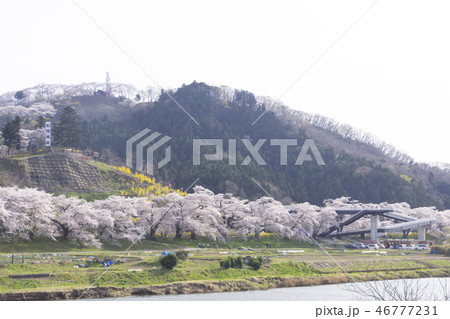 一目千本桜 船岡城址 白石川 一目千本桜 船岡城址 白石川 46777231