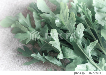 Fresh green leaves of arugula on the table Fresh green leaves of arugula on the table 46778016