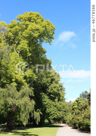 ハグレー公園 46778566