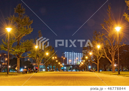 夜の勝山公園【福岡県北九州市】 夜の勝山公園【福岡県北九州市】 46778844