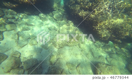first-person view, a man swims under water looking at the underwater world and small tropical fish first-person view, a man swims under water looking at the underwater world and small tropical fish 46779344