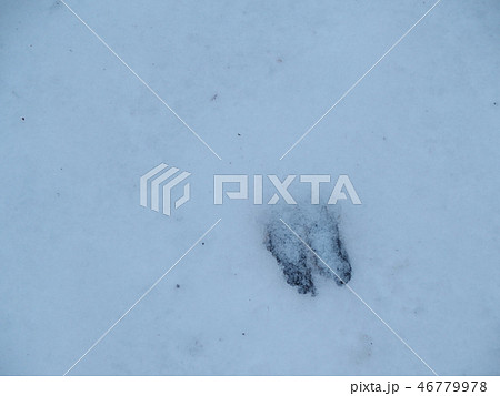 冬の御在所 46779978