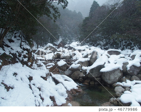 冬の御在所 46779986