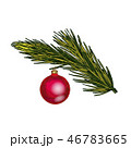 Fir tree branch with toy  46783665
