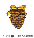 Christmas and New Year decoration natural cone 46783666