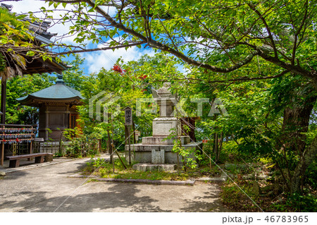 八幡山城山頂 本丸 八幡山城山頂 本丸 46783965