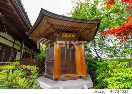 八幡山城山頂 本丸 46784087