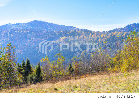 Landscapes of the Carpathian Mountains, Ukraine 46784217