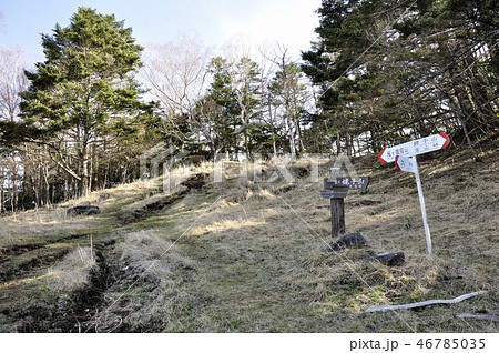 早春の雁ヶ腹摺山の山頂 早春の雁ヶ腹摺山の山頂 46785035