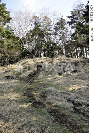 早春の雁ヶ腹摺山の山頂 46785037