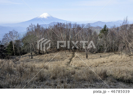 雁ヶ腹摺山からの富士山展望 46785039