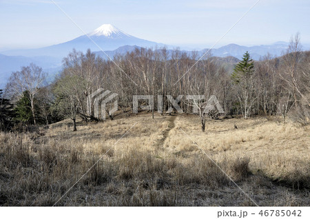 大菩薩連嶺 雁ヶ腹摺山より望む富士山 大菩薩連嶺 雁ヶ腹摺山より望む富士山 46785042