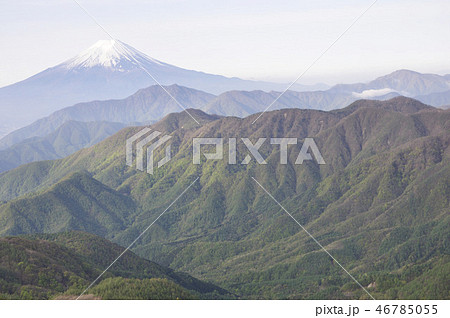 雁ヶ腹摺山から富士山を眺める 46785055