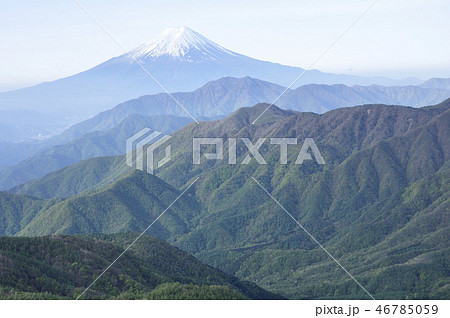 雁ヶ腹摺山より富士山 雁ヶ腹摺山より富士山 46785059