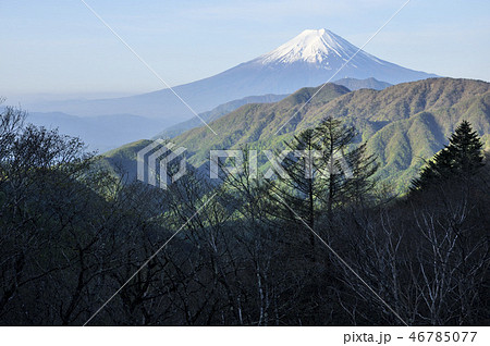 大峠より富士山 大峠より富士山 46785077