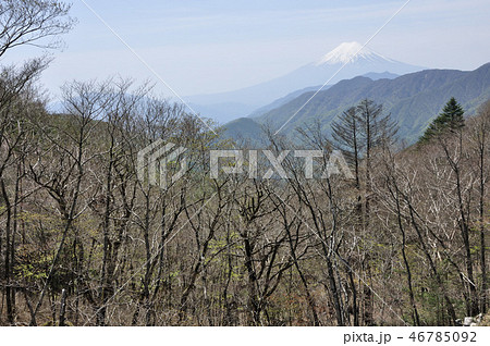 大峠より富士山 46785092