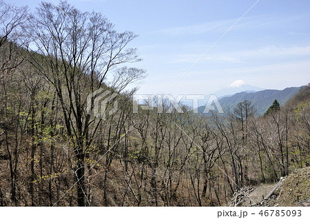 大峠より富士山 大峠より富士山 46785093