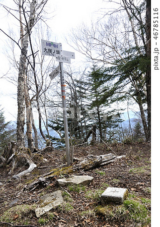 大菩薩嶺 大樺ノ頭の山頂 46785116