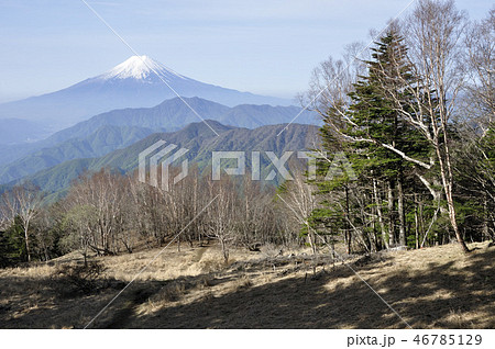 雁ヶ腹摺山から富士山を眺める 46785129