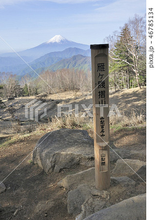 雁ヶ腹摺山の山頂より富士山 46785134