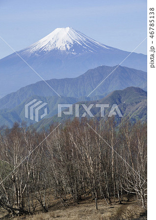 雁ヶ腹摺山からの富士山展望 雁ヶ腹摺山からの富士山展望 46785138