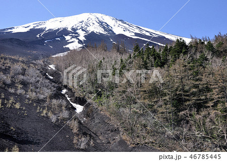 日本百名山 富士山 46785445