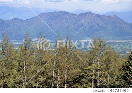 大沢展望台から毛無山と雨ヶ岳の眺め 46785469
