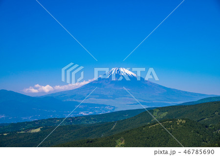 (静岡県)初夏の十国峠、富士山眺望 (静岡県)初夏の十国峠、富士山眺望 46785690