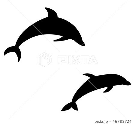 dolphin icon dolphin icon 46785724