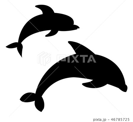 dolphin icon dolphin icon 46785725