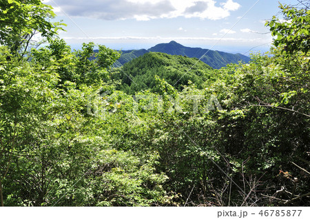 御前山より大岳を望む 御前山より大岳を望む 46785877