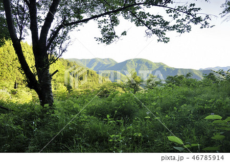 朝の奥多摩山地 三ノ木戸山 朝の奥多摩山地 三ノ木戸山 46785914