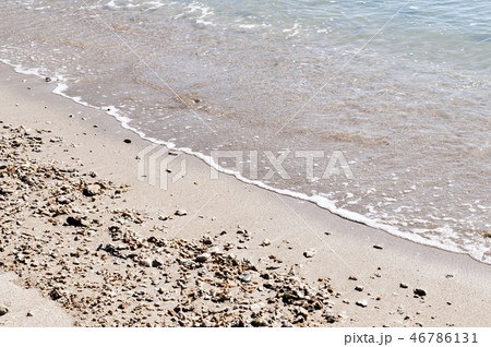 海岸（沖縄 中城村） 46786131