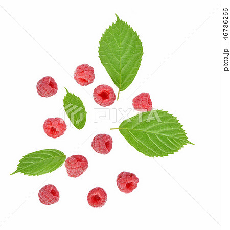 Top view of Raspberries isolated white background Top view of Raspberries isolated white background 46786266