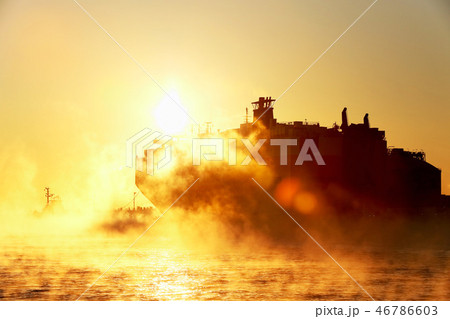 日立港の日の出と自動車運搬船　1月上旬　茨城県日立市 46786603