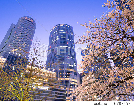 名古屋都市風景　名古屋駅前ロータリーと夜桜 46787258