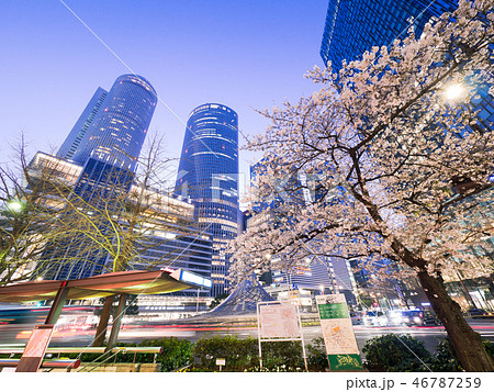 名古屋都市風景 名古屋駅前ロータリーと夜桜 名古屋都市風景 名古屋駅前ロータリーと夜桜 46787259