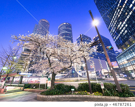 名古屋都市風景　名古屋駅前ロータリーと夜桜 46787261