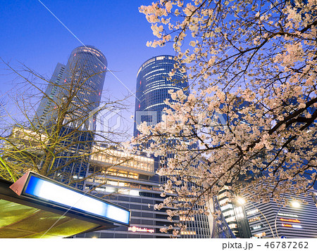 名古屋都市風景　名古屋駅前ロータリーと夜桜 46787262