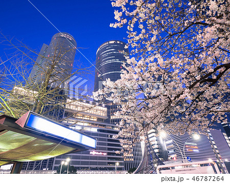 名古屋都市風景 名古屋駅前ロータリーと夜桜 名古屋都市風景 名古屋駅前ロータリーと夜桜 46787264